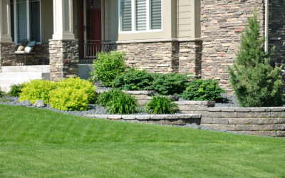 Do Retaining Walls Need Drainage? Essential Tips for Homeowners